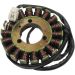 Ricks Electric Stator 21-240