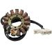 Ricks Motorsport Electric Stator Kawasaki 21-241