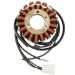 Ricks Electric Magneto Stator Kawasaki KZ1300 1979