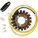 Ricks Electric Magneto Stator Suzuki GZ250 1999-2007