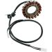 Ricks Electric Magneto Stator Suzuki LS650 1986-2004  & LS650 S40 2005-2009