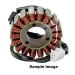 Ricks Electric Magneto Stator Suzuki GN250 1982-1988