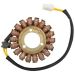 Ricks Motorsport Electric Stator Suzuki  21-336