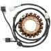 Ricks Motorsport Electric Stator Suzuki 21-337