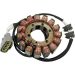 Ricks Electric Stator 21-425