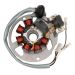 Ricks Motorsport Electric Stator 21-550