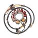Ricks Motorsport Electric Polaris Stator 21-551