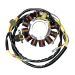 Ricks Motorsport Electric Polaris Stator 21-552