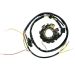 Ricks Motorsport Electric Polaris Stator 21-553