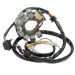 Ricks Motorsport Electric Polaris Stator 21-554