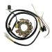 Ricks Motorsport Electric Polaris Stator 21-555