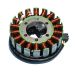 Ricks Motorsport Electric Polaris Stator 21-558