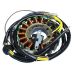 Ricks Motorsport Electric Polaris Stator 21-560