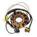 Ricks Motorsport Electric Polaris Stator 21-561