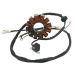 Ricks Motorsport Electric Polaris Stator 21-562
