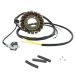 Ricks Motorsport Electric Polaris Stator 21-563