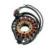 Ricks Motorsport Electric Polaris Stator 21-565