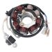 Ricks Motorsport Electric High Output Stator 21-602H