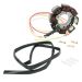 Ricks Motorsport Electric Stator 21-615H