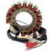 Ricks Motorsport Electric Stator 21-616H