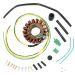 Ricks Motorsport Electric High Output Stator 21-617H