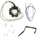 Ricks Motorsport Electric High Output Stator 21-618H