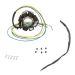 Ricks Motorsport Electric Stator 21-621