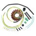 Ricks Motorsport Electric Stator 21-628