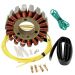 Ricks Motorsport Electric Stator 21-629