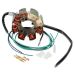 Ricks Motorsport Electric Stator 21-630