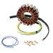 Ricks Motorsport Electric Stator 21-631
