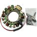 Ricks Motorsport Electric Stator 21-635