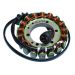 Ricks Motorsport Electric Stator 21-713H