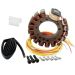 Ricks Motorsport Electric Stator 21-714