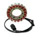 Ricks Motorsport Electric Stator 21-716H