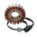 Ricks Motorsport Electric Stator 21-717