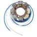 Ricks Motorsport Electric Stator Kawasaki 21-719