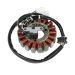 Ricks Motorsport Electric ATV Suzuki Stator 21-801H