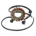 Ricks Motorsport Electric ATV Suzuki Stator 21-805