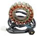 Ricks Motorsport Electric Stator 21-807H