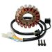 Ricks Motorsport Electric Stator 21-816