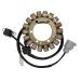 Ricks Motorsport Electric ATV Suzuki Stator 21-819