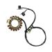 Ricks Motorsport Electric ATV Yamaha Stator 21-900