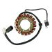 Ricks Motorsport Electric ATV Yamaha Stator 21-901
