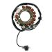 Ricks Motorsport Electric ATV Yamaha Stator 21-904