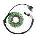 Ricks Motorsport Electric ATV Yamaha Stator 21-905