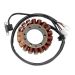 Ricks Motorsport Electric ATV Yamaha Stator 21-913