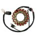 Ricks Motorsport Electric ATV Yamaha Stator 21-917