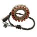 Ricks Motorsport Electric ATV Yamaha Stator 21-918