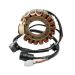 Ricks Motorsport Electric ATV Yamaha Stator 21-919